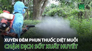 Hà Nội: Xuyên đêm phun thuốc diệt muỗi chặn dịch sốt xuất huyết | VTC14