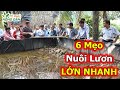 6 Kỹ Thuật Nuôi Lươn Tại Nhà Nhanh Lớn - Hiệu Quả Kinh Tế Cao | Tỷ Phú Nông Dân