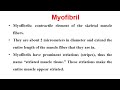 Structure of myofibril by dr t samuel david raj