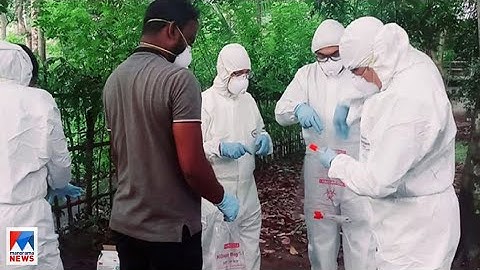 ഫലങ്ങളെല്ലാം നെഗറ്റീവ്; നിപയുടെ ഉറവിടം കണ്ടെത്താന്‍ ഊര്‍ജിത ശ്രമം; നിയന്ത്രണം തുടരും |Nipah