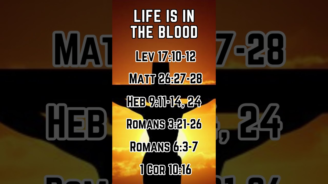 Sunday Morning Preview: Life is in the Blood