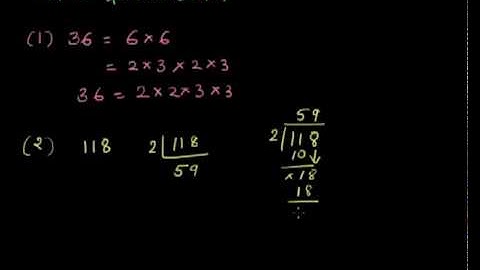 Prime Factorization 1