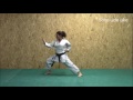 Karat  blocages uke  sf karate training