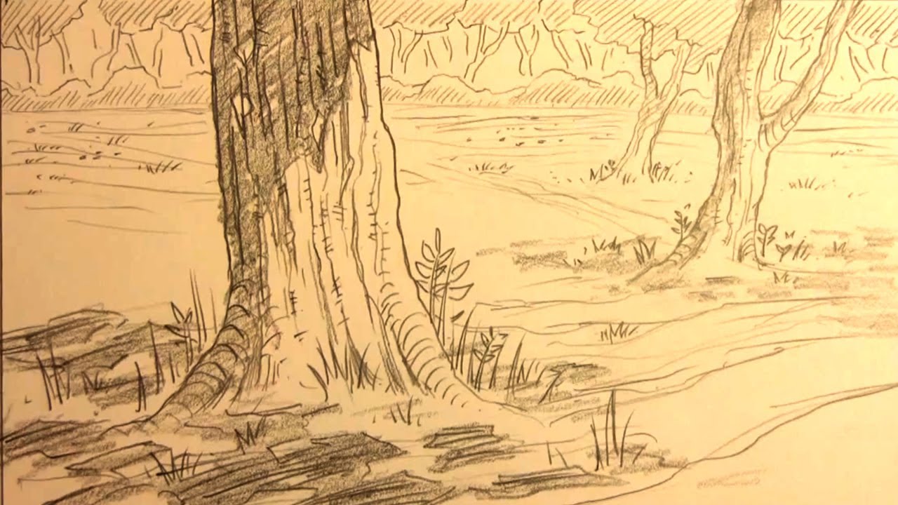 Anime Backgrounds How To Draw