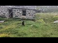 Vatersay  derelict croft house