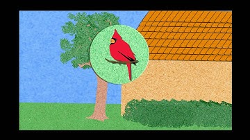 The Language of Birds