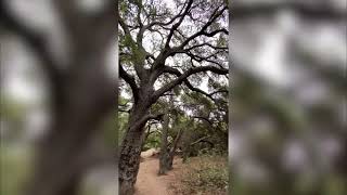 Trail Walking Hiking With Nature by Huu N Wheels 7 views 2 years ago 2 minutes, 12 seconds