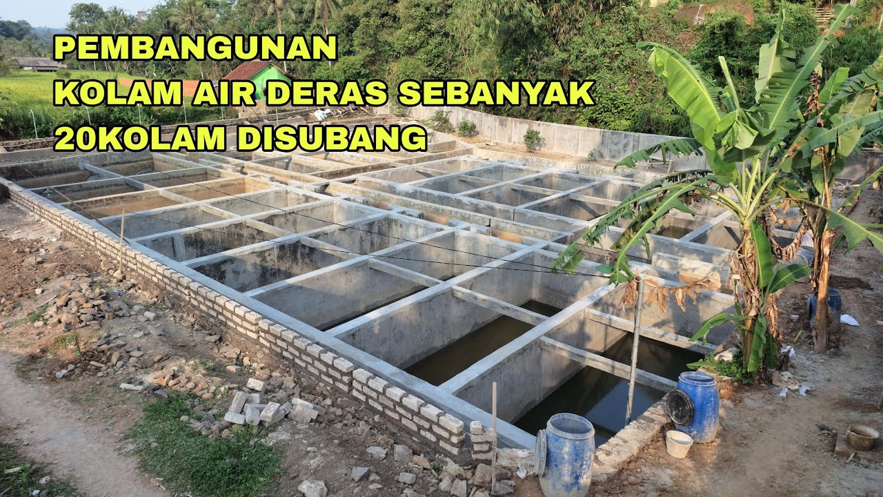 Tip Jitu Menjaga Kualitas Air Kolam Ikan untuk Budidaya yang Sukses Tip Jitu Menjaga Kualitas Air Kolam Ikan untuk Budidaya yang Sukses
