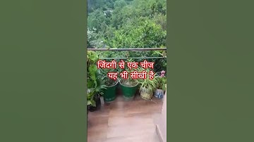 Learn this one thing from life #video #status 🌿🥀👍