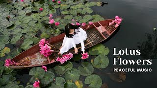 Lotus Flowers | Peaceful Music | Soothing Guitar Music | Relaxing Piano Music | Stress Relief screenshot 4