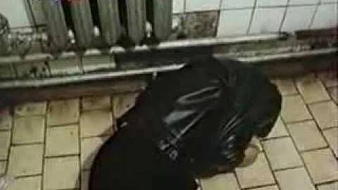Денацификация. Отгрёб за свастику