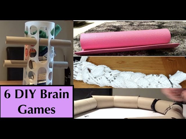 brain games toys