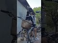 潭秀國中學生情侶在潭子火車站互慰 潭秀國中學生情侶在潭子火車站互慰