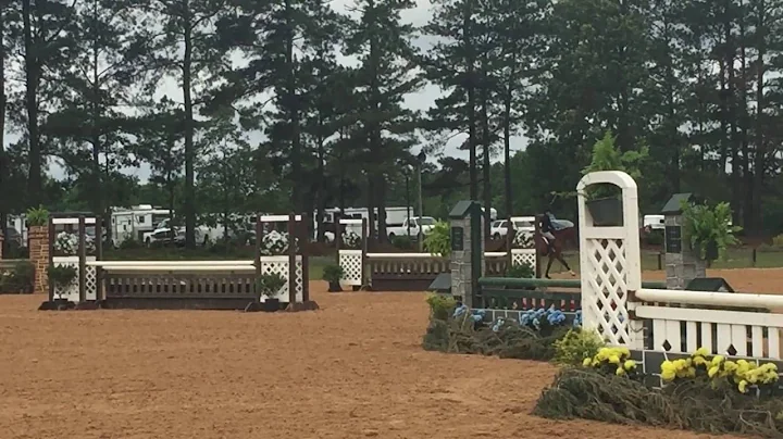 Stacey Ingram and Hey Now - 3'3" A/O Class 4 (Hand...