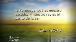 Reavivados por su Palabra - 4/11/2013 - Salmo 89