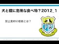 【ペットの食事・栄養学セミナー】犬と猫に危険な食べ物？その１