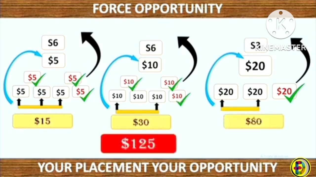 Meta force plan in hindi
