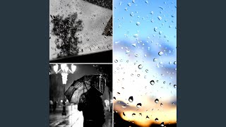 Unique Moods for Fun Storms