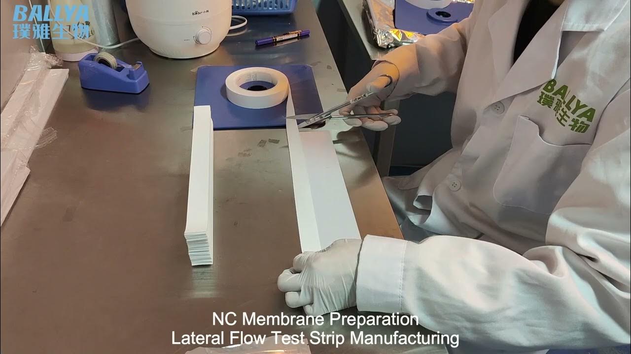 NC Membrane Preparation For Lateral Flow Test Strip Manufacturing