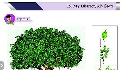 4th. EVS Lesson.15 (Part.1) My District , My State .. Maharashtra Board