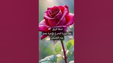 #لسعة الرزق اقرا سورة النصر عصر الخميس #قران_كريم