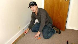 Did You Know About Animal Print Carpet Find Out Here