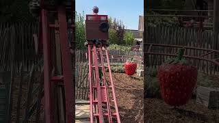 Mini K2 im Karls Erlebnisdorf Rövershagen #karls #karlserlebnisdorf #rövershagen #minik2