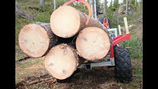 Pine workbench Part 1. From the very beginning