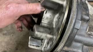 IMG 4954