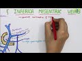 Superior and Inferior Mesenteric Veins | Venous Drainage of small intestine