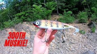 Glide Bait Musky Double: Musky Number 300 in the bag!