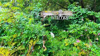 Elderly Couple STUNNED with What I FOUND BURIED under this Overgrown Grass, Wait until you see this!