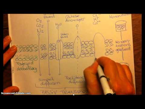 Video: Hvordan transporteres ioner over cellemembranen?