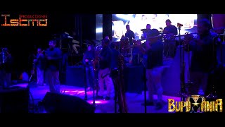 MUÑECA ESQUIVA - La BUPUMANIA (En Vivo) ¡Para Bailar!