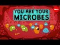 You are your microbes - Jessica Green and Karen Guillemin