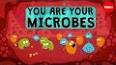 The Hidden World of Microbes and Their Role in Our Health ile ilgili video