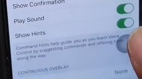 iPhone 11 Pro: How to Enable / Disable Voice Control Show Hints