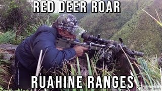 Red Deer - Roar 9 April 2017