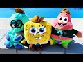 Kamp koral  spongebob