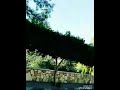 ياغايب ليه ماتسال ع حبابك الي حبونك ياغايب ليه ماتسال ع حبابك الي حبونك