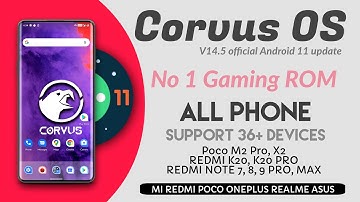 Corvus OS 14.5 Official Android 11 Review - New Looks