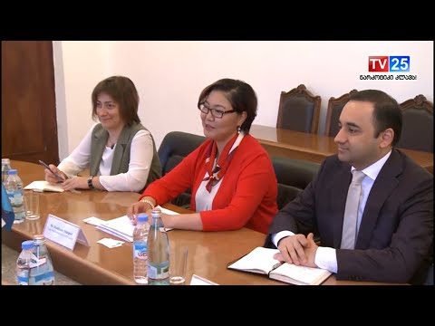 გაცნობითი ხასიათის შეხვედრა