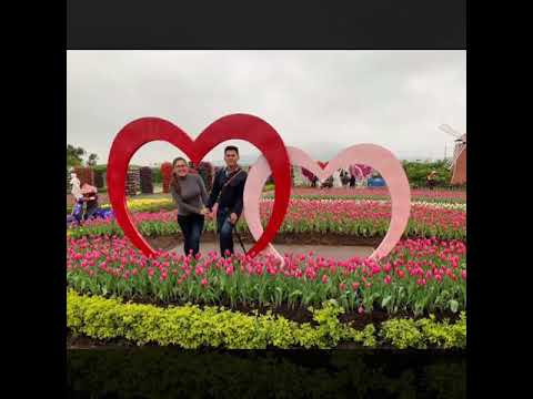 camera iphone 8 plus apk Flower Farm Taiwan