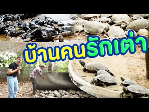 บ้านคนรักเต่า | ไทยทึ่ง WOW! THAILAND