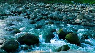 Healing Freshwater Stream for Mindfulness and Improves Concentration