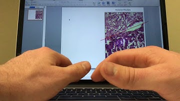 Week 1 Video Lab Exercise