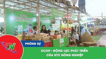 OCOP - Động lực phát triển của HTX nông nghiệp
