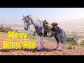 RDR2 Horse Mod Showcase  Beautiful Custom Coat in Red Dead Redemption 2