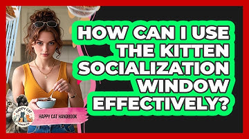 How Can I Use The Kitten Socialization Window Effectively? - Happy Cat Handbook