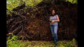 Nikki Lindt - Hubbard Brook Research Center Discussing Her Residency Exploring Underground Sounds.